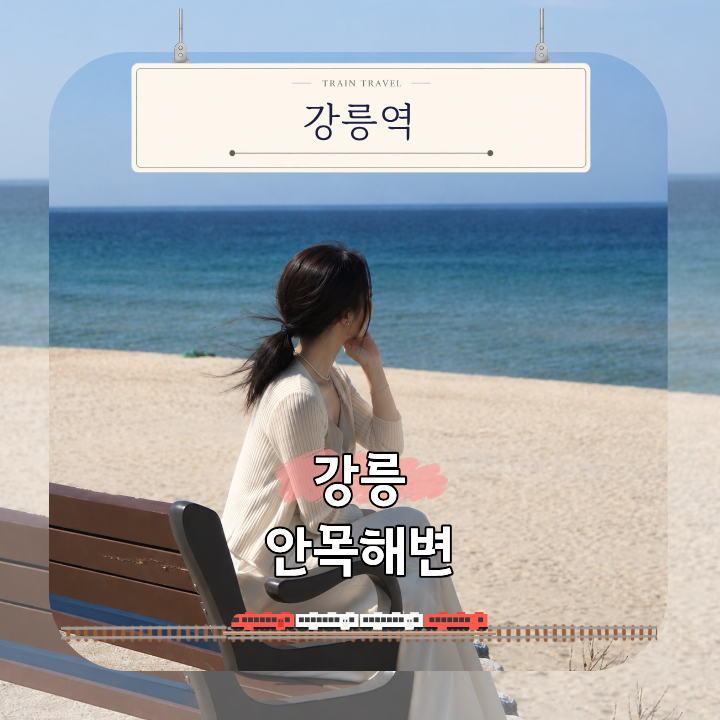 강릉 안목해변 바다 산책부터 카페거리까지 강릉역에서 가는 방법