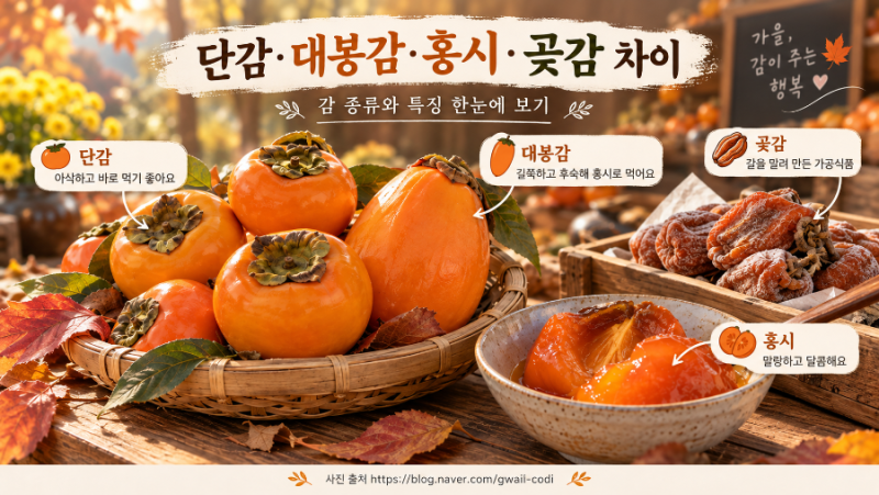 단감 대봉감 홍시 곶감 차이 아시나요? 감 종류부터 보관법까지