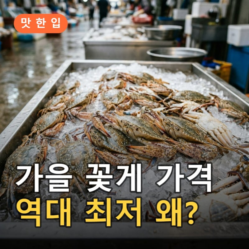 2026 가을 꽃게 가격 역대 최저, 대하·전어는 왜 비쌀까? 시세·고르는 법