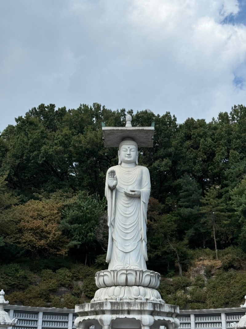 봉은사 소원코스 및 팔찌 추천 그리고 꿀팁까지