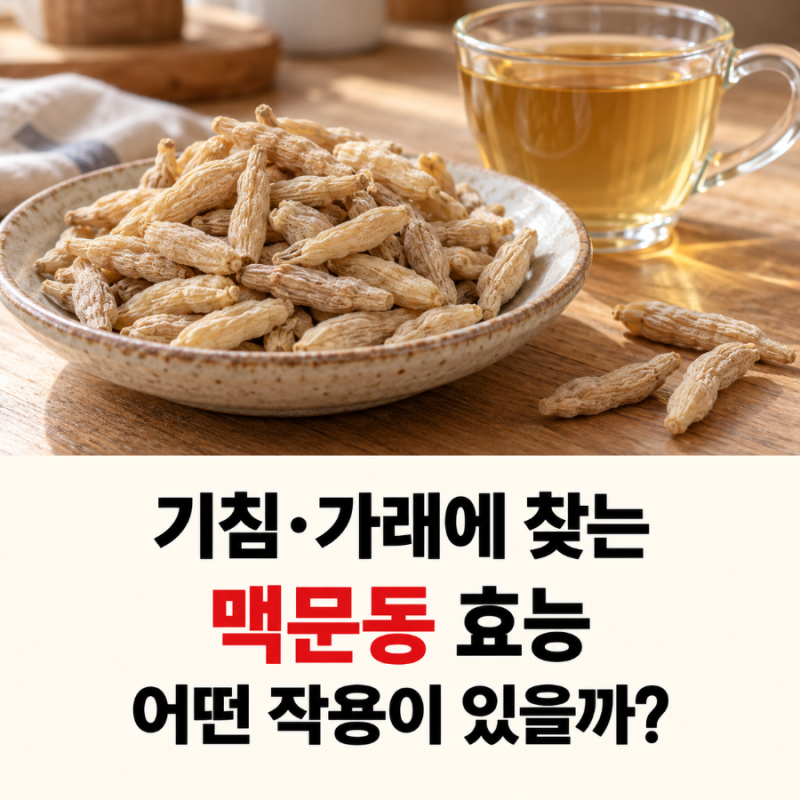 기침·가래 때문에 찾는 맥문동… 어떤 효능으로 알려져 있을까?