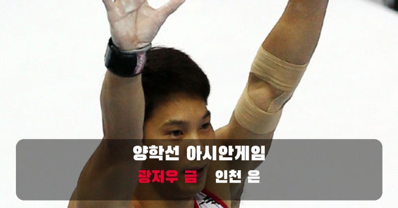 양학선 아시안게임 도마 금·은, 광저우와 인천의 다른 결말