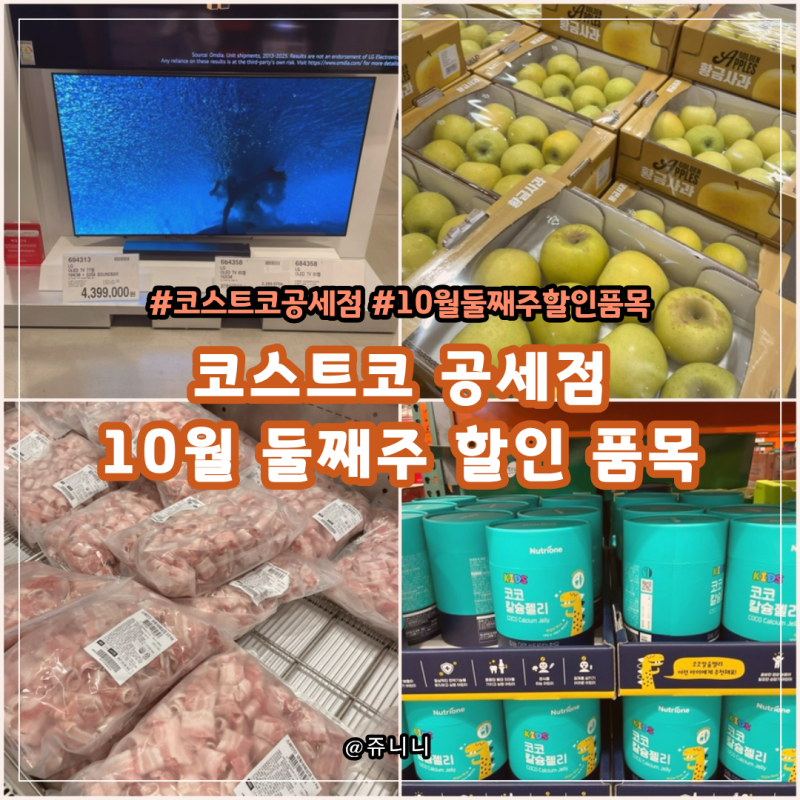 코스트코 공세점 10월 둘째주 할인 품목 총정리(10월 5일 ~)
