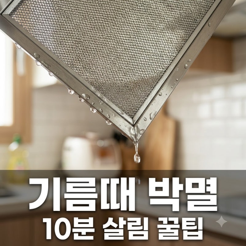 꺅! 솔질 없이 10분 만에 싹?.. 기름때 제거 끝내는 주방 살림 꿀팁