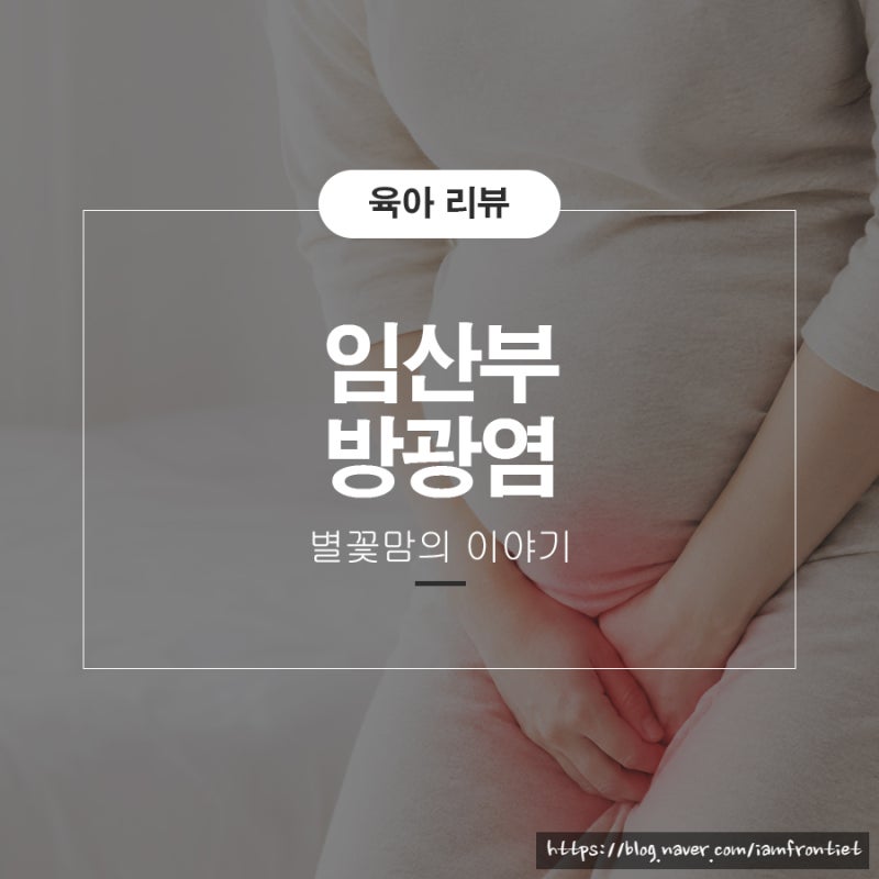 임산부 질염 방광염 단백뇨 증상 차이