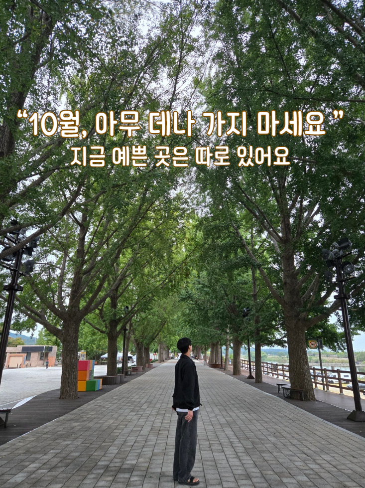 10월 국내여행지 추천 BEST7, 지금 갈 곳과 기다렸다 갈 곳은 달라요
