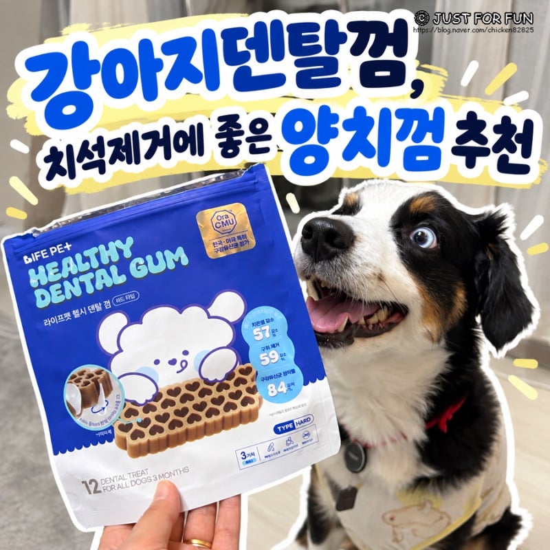 강아지덴탈껌, 치석제거에 좋은 양치껌 추천