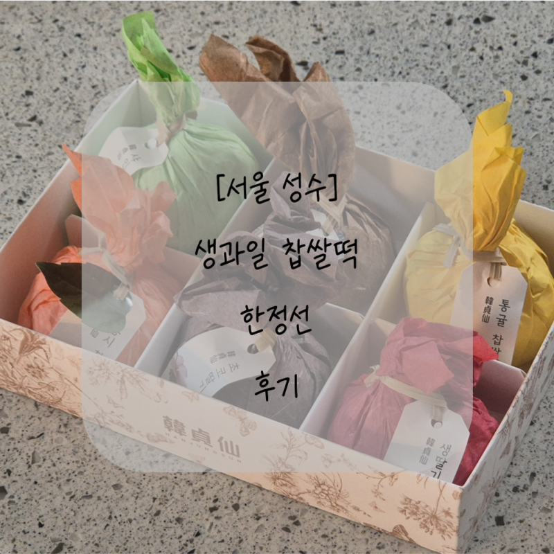 [서울 성수] 기나긴 웨이팅 끝에 겟한 한정선 생과일 찹쌀떡 후기