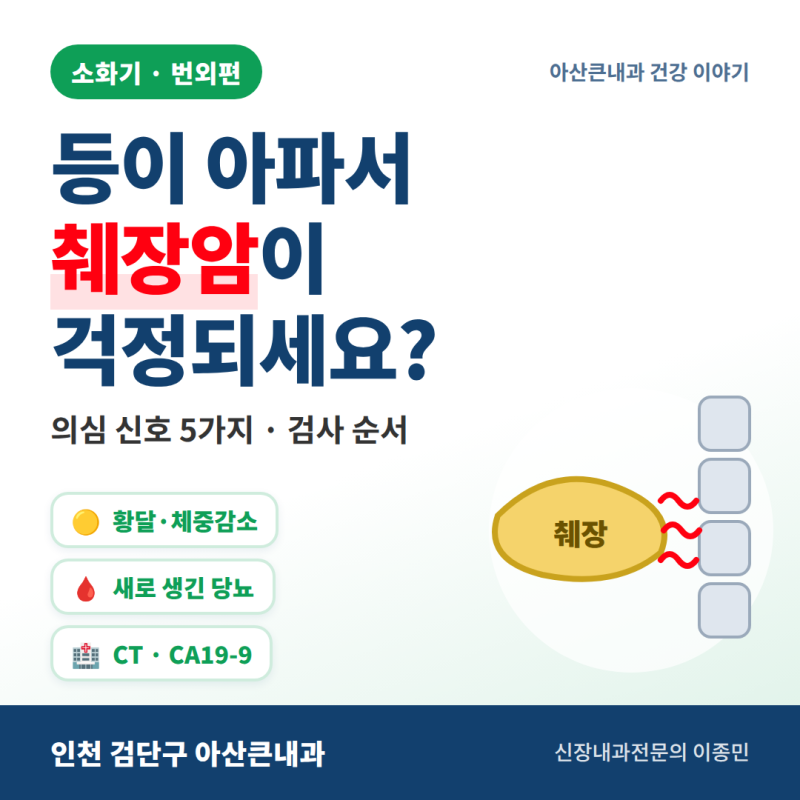 등이 아파서 췌장암이 걱정되세요? 의심 신호 5가지와 검사 순서 (복부초음파·CT·CA19-9)