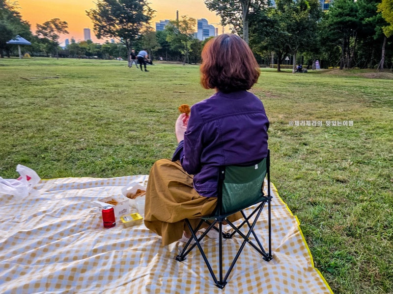 이촌한강공원 피크닉 배달존에서 할인에 쿠폰까지 혜택이 가득 (ft. 서울페이, 땡겨요)