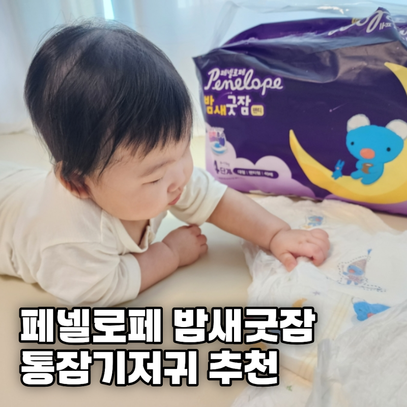 통잠 시작한 아기 밤기저귀, 페넬로페 밤새굿잠 기저귀 사용후기