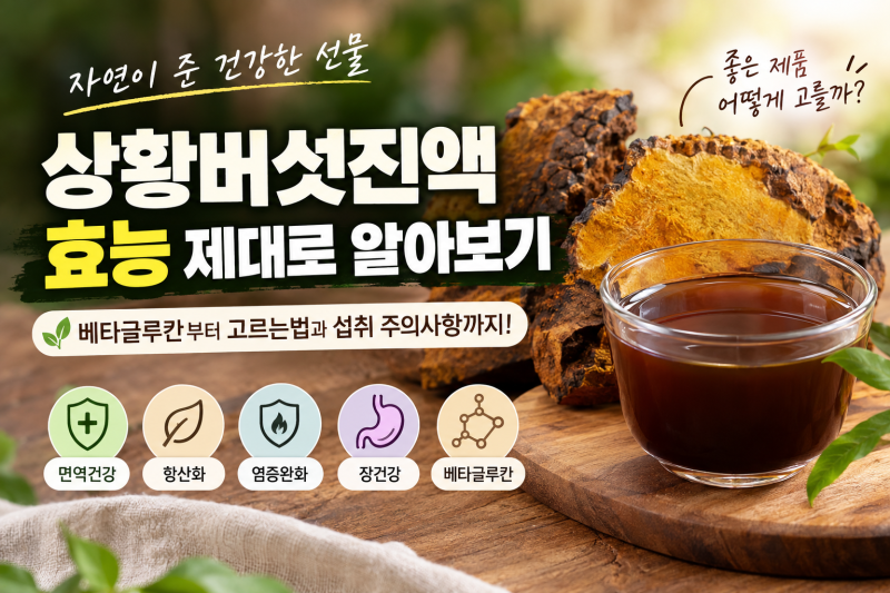 상황버섯진액, 무조건 진하면 좋을까? 효능부터 고르는법까지 한눈에 정리