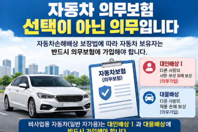 [자동차 책임보험] 안 들면 어떻게 될까? 미가입 과태료·운행 처벌·보상범위 총정리