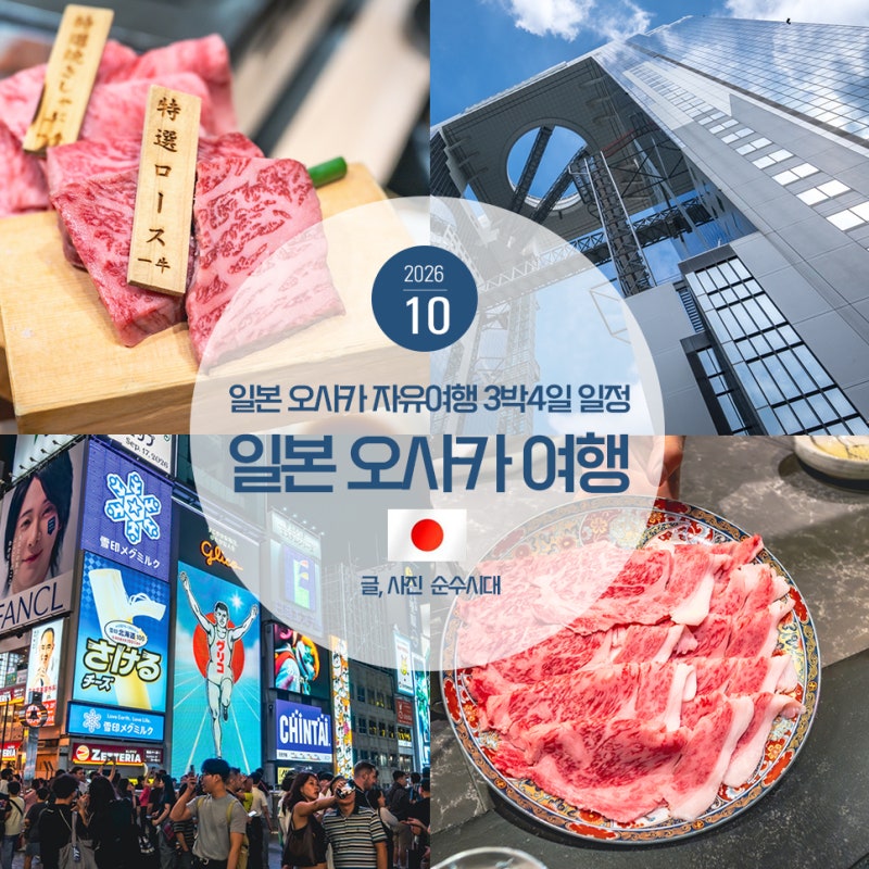 일본 오사카 자유여행 오사카 3박4일 일정 숙소 맛집 나라