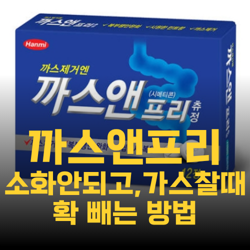 까스앤프리 효과 가격 복용법 복부 팽만감 방귀 해결