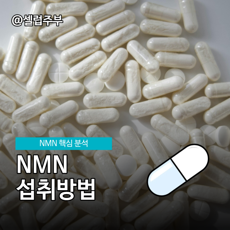 NMN, 비타민B3와 같은 성분일까요?