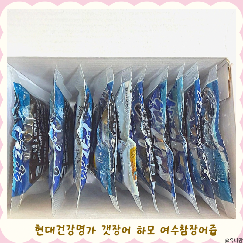 장어즙 비린맛 걱정했는데, 현대건강명가 갯장어 하모 여수참장어즙 후기