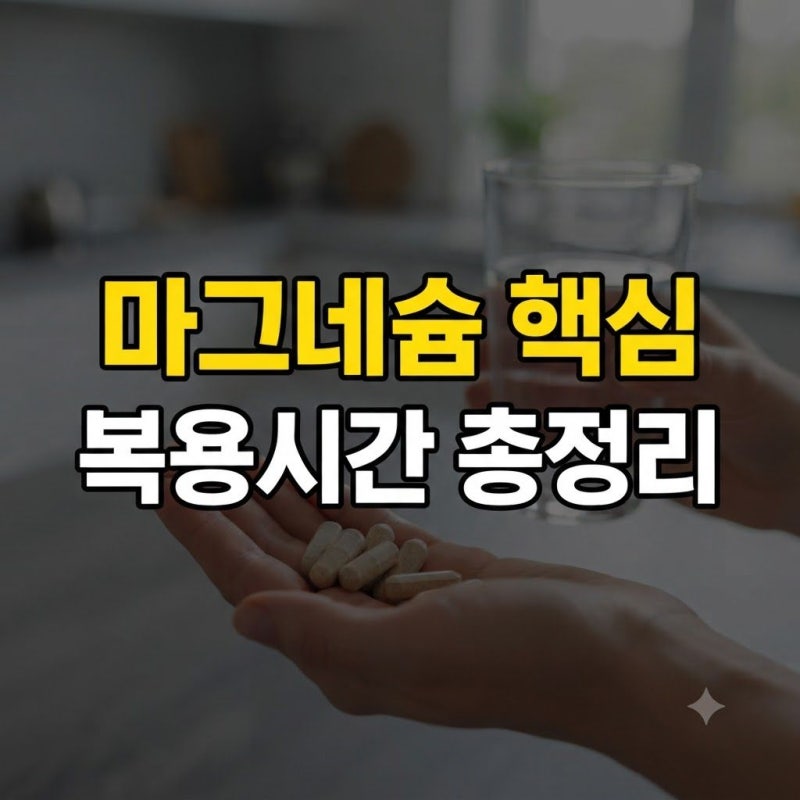 마그네슘 추천 기준과 350mg 속 편한 복용시간 정리