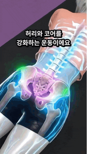 40대 50대 허리디스크 통증 줄이는 누워서 하는 코어 운동 꿀팁