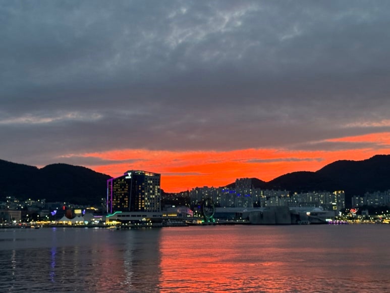 [여수 가볼만한곳 추천] 오동도 산책, 볼거리 및 솔직 후기