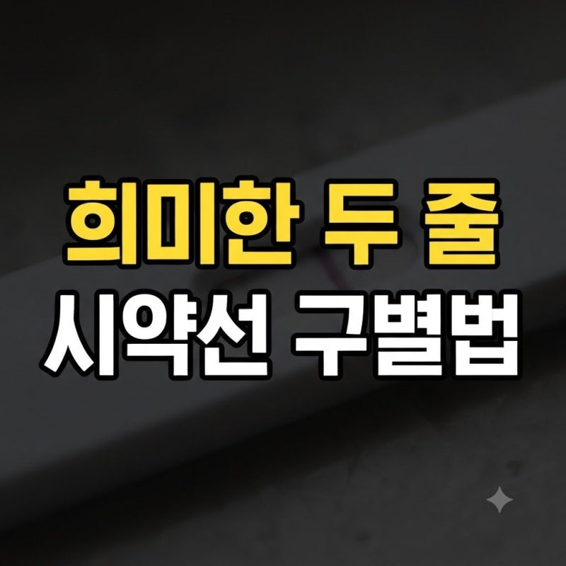 임신테스트기 사용 시기와 정확도 높이는 4가지 원칙
