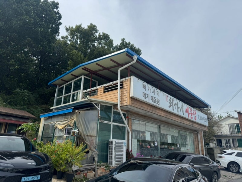 파주 매운탕 맛집 최가네시래기매운탕 방문 후기
