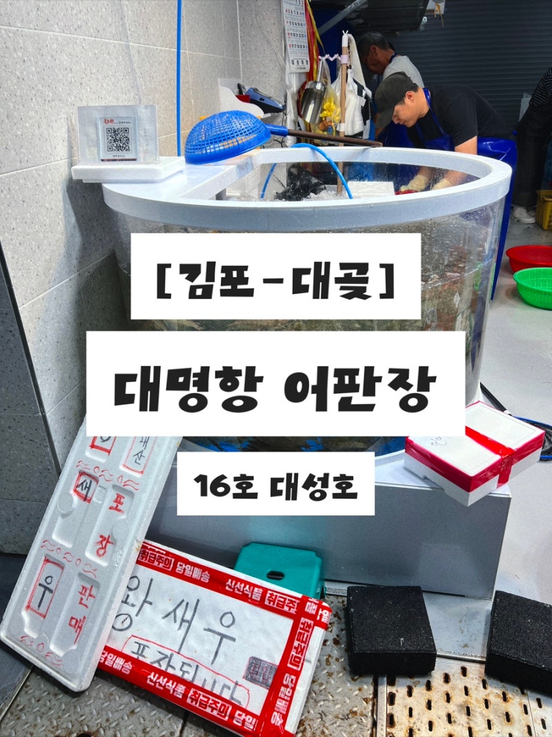 [김포-대곶] 새우 사러 다녀온 김포 대명항