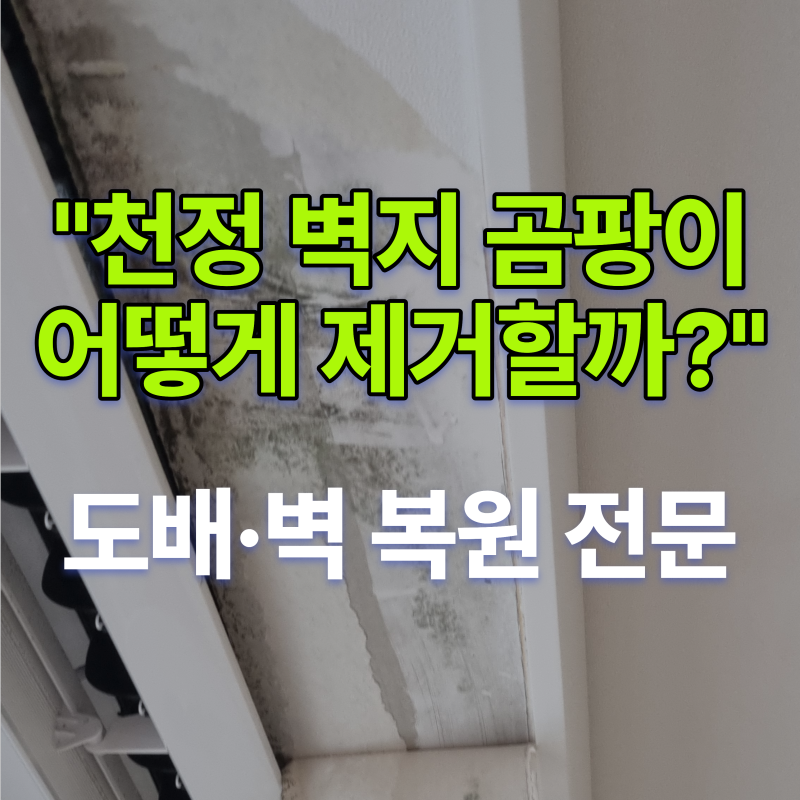 벽지 곰팡이 제거 방법 I 천정 시스템 에어컨 주변 곰팡이 제거 후 부분도배 시공 (부산진구 ....