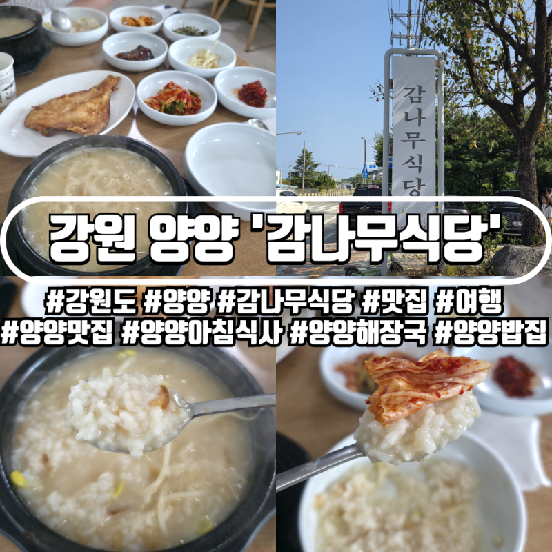 뜨끈한 황태국밥에 반찬까지 가득! 강원 양양 아침식사 맛집 감나무식당