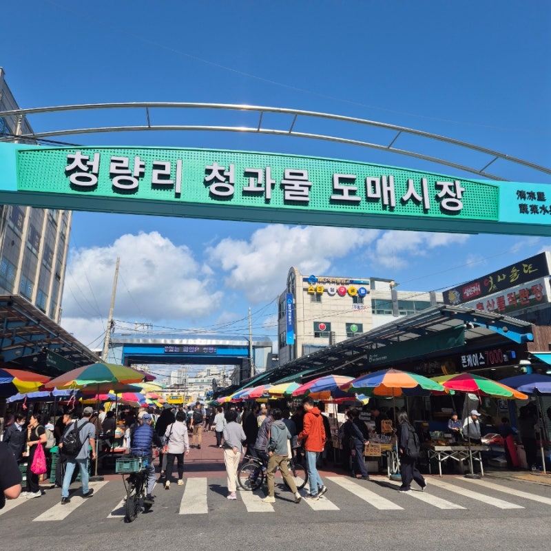 경동시장 먹거리 추천｜짱구네·기태만두부터 호떡까지 + 주차 꿀팁