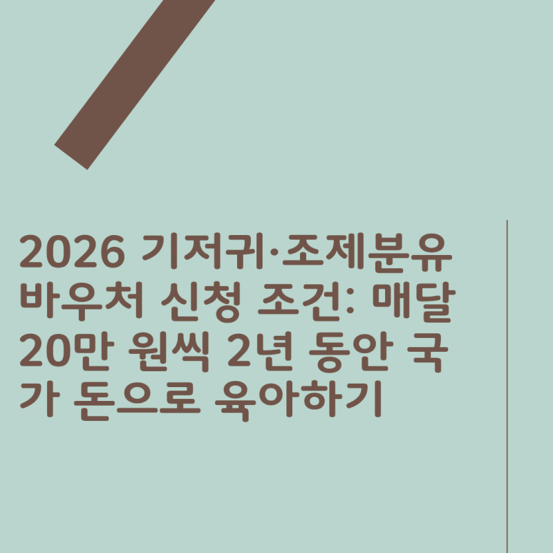 2026 기저귀·조제분유 바우처 신청 조건: 매달 20만 원씩 2년 동안 국가 돈으로 육아하기