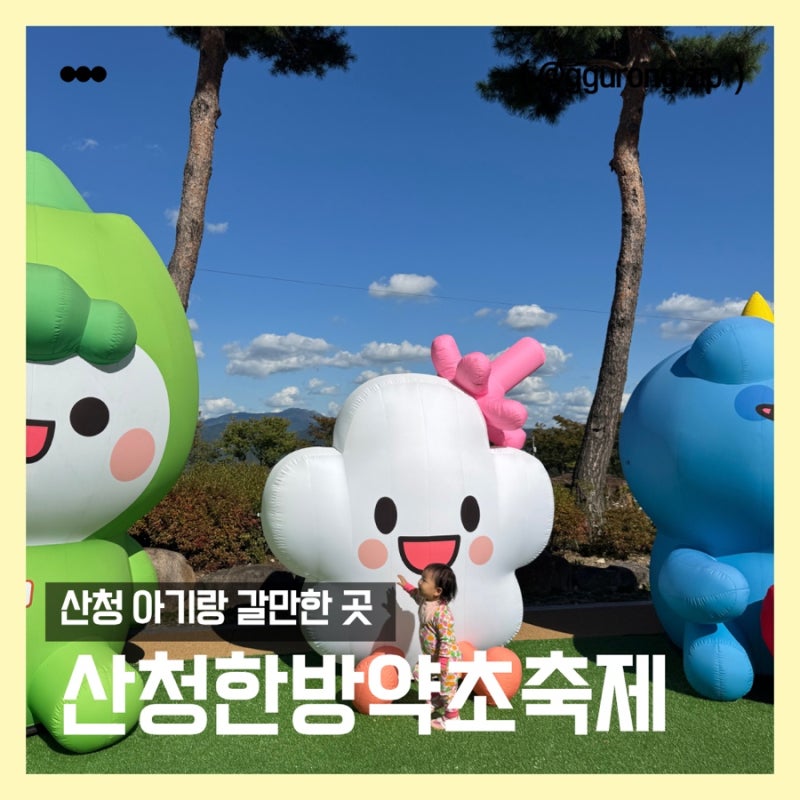 16개월 아기와 산청한방약초축제 다녀온 후기｜동의보감촌 가을 나들이