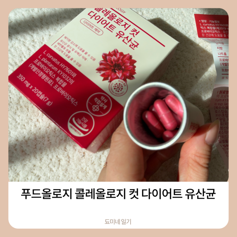 푸드올로지 콜레올로지 컷 다이어트 유산균 후기