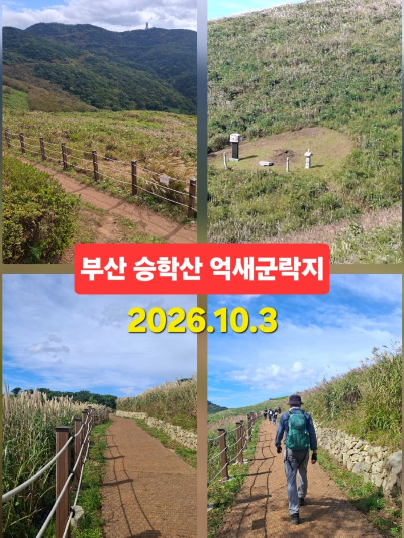 부산 가볼만한곳 승학산 등산 코스 억새군락지 쉬운길