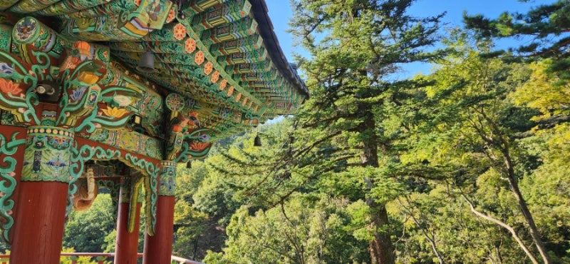고성 가볼만한곳 화암사 주차·소요시간, 백촌막국수 웨이팅 중 다녀온 후기