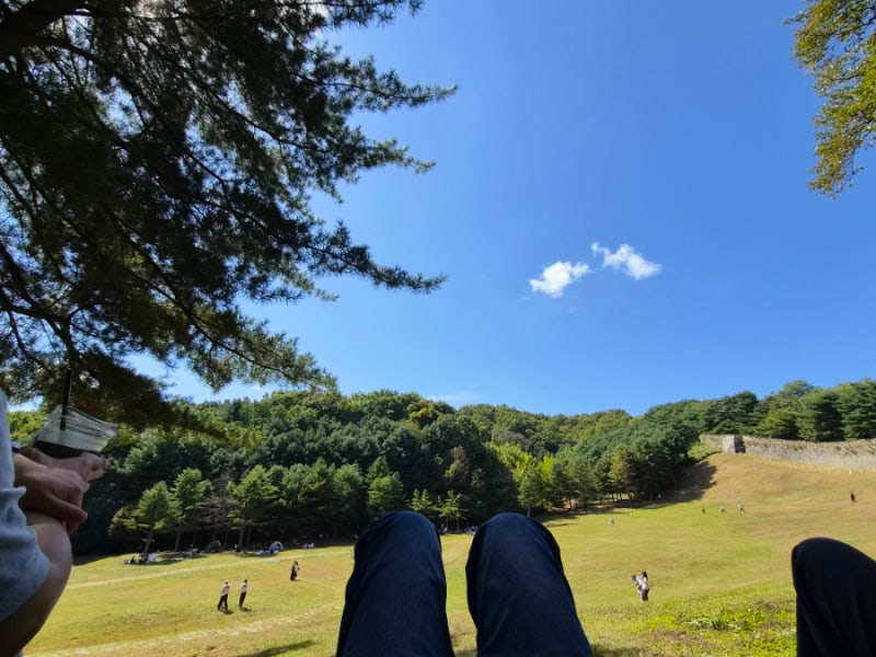 청: 청주는 주:주애밌다.