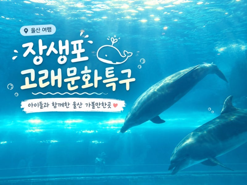 울산 장생포 고래박물관 | 고래생태체험관 | 울산함 | 모노레일 | 고래문화마을 | 고래문화특....