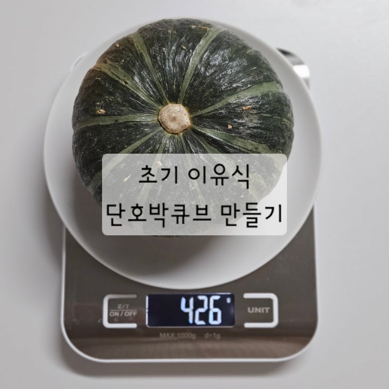 6개월 초기 이유식 : 단호박 큐브 만들기 (단호박 티딩러스크)
