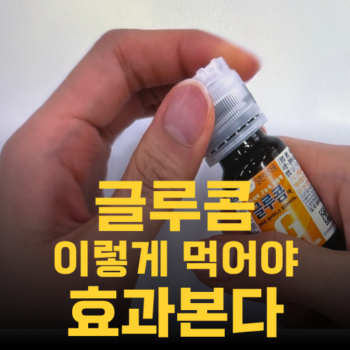 글루콤 가격 효과 먹는법 약국 피로회복제