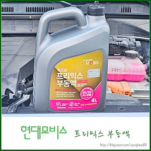코나 냉각수 셀프보충 현대모비스 프리믹스 부동액