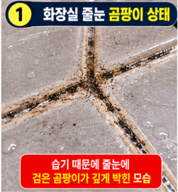 화장실 줄눈 곰팡이 제거 욕실 타일 틈새 곰팡이 젤 락스 완벽 청소 팁