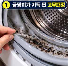 드럼세탁기 고무패킹 곰팡이 제거 락스 키친타올로 문지르지 않고 없애는 법