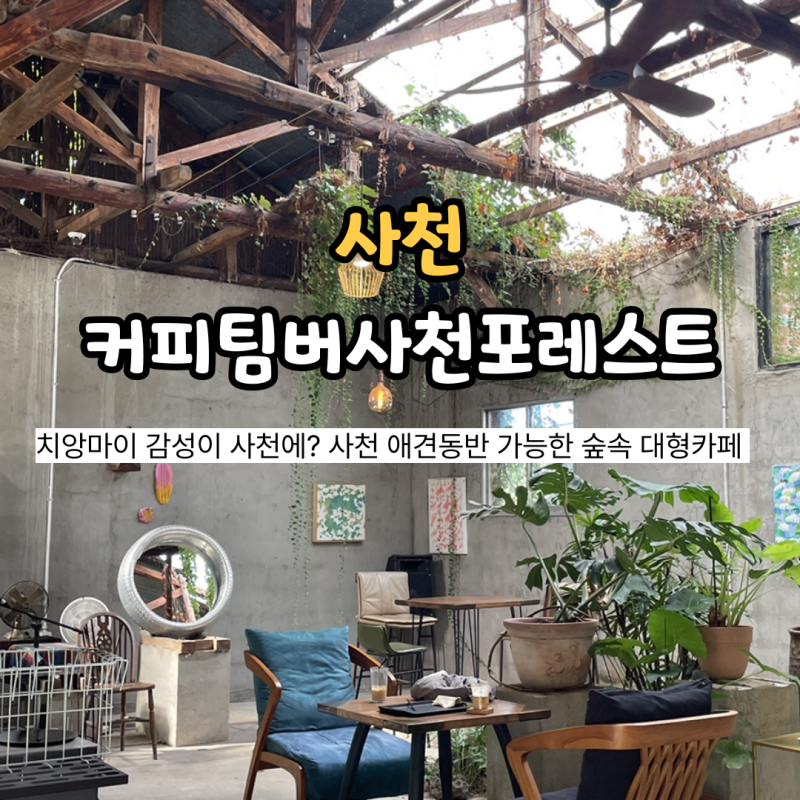 사천에 이런 카페가 있었어? 사천 대형카페 커피팀버사천포레스트 솔직 후기
