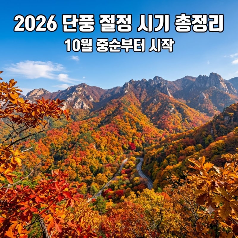 2026 단풍 절정 시기 총정리! 10월 중순부터 꼭 가봐야 할 전국 명산 5곳