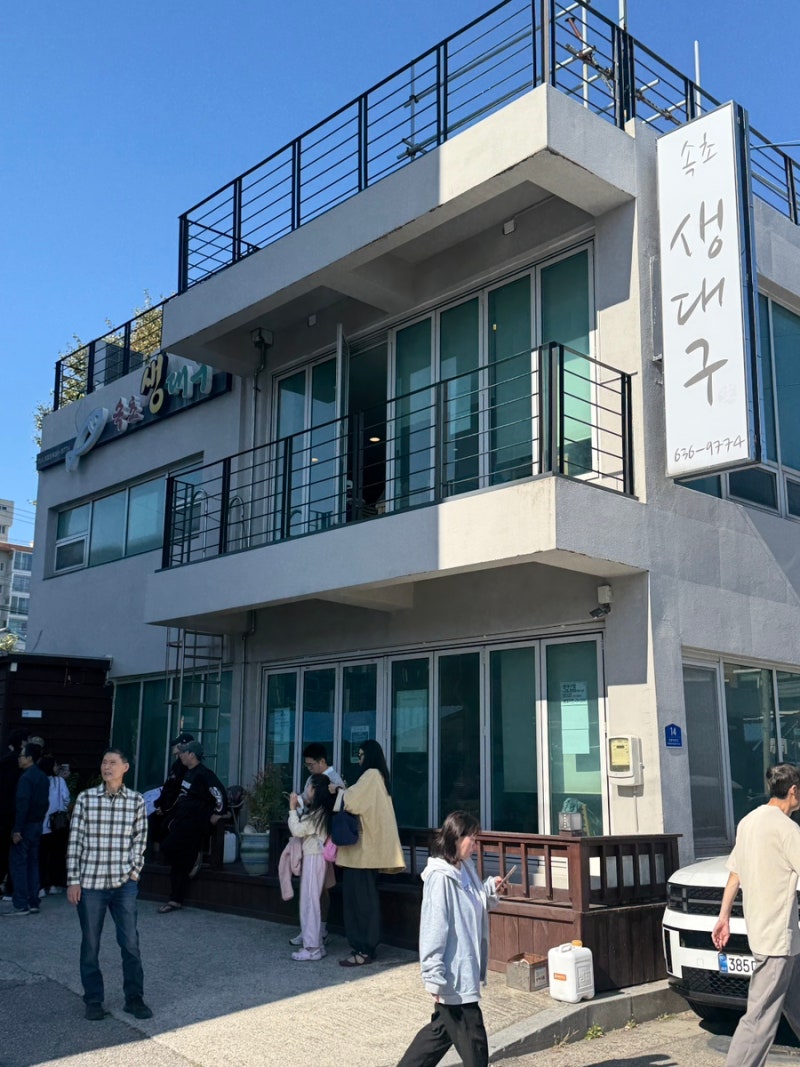 (속초 생대구) 줄서는 속초맛집