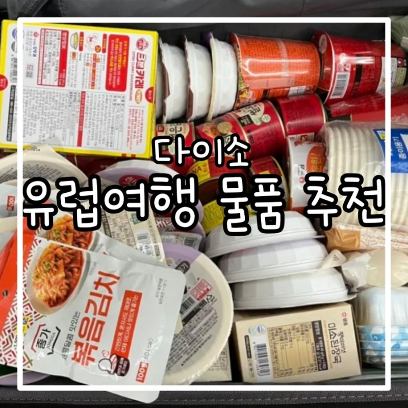[용품 추천] 2주 유럽여행 다이소 쇼핑 추천템