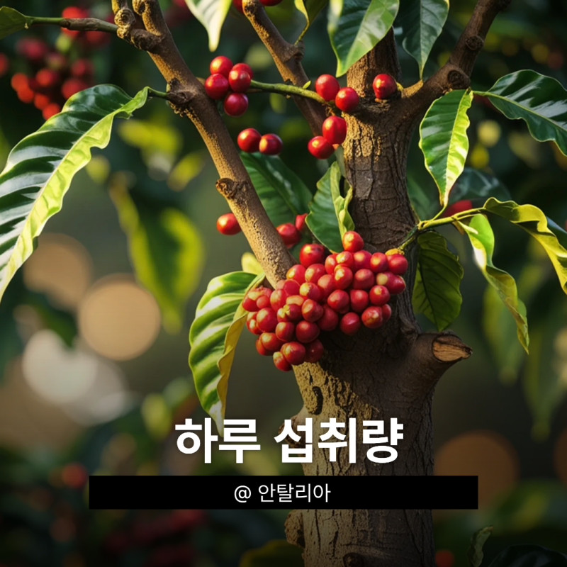 쏘팔메토, 기능성 범위를 알아둘 이유