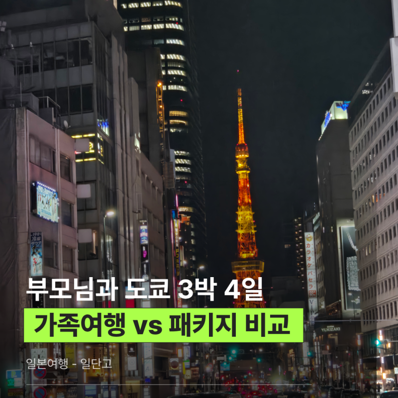 도쿄 3박 4일 패키지 부모님과 가족여행 자유여행과 비교하면?