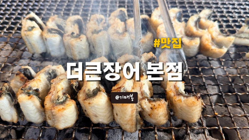 광주 장어 맛집 더큰장어 본점 본촌동 가성비 장어구이 후기