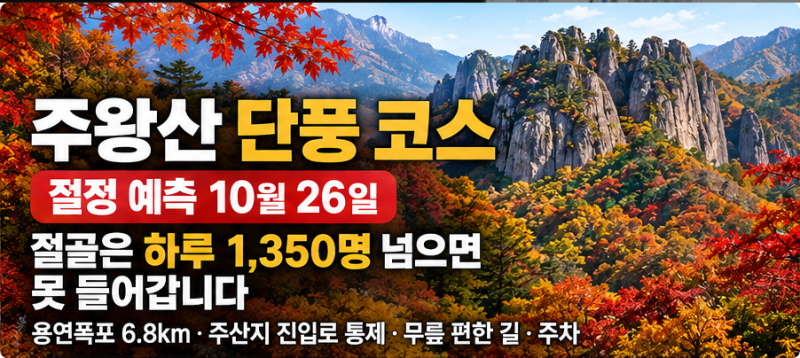 주왕산 단풍 코스, 절정 예측 10월 26일이고 절골은 하루 1,350명을 넘으면 못 들어갑니다 | 용....